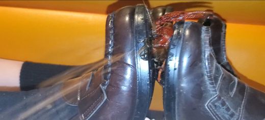 ローファーでザリガニを次々に挟み潰す２人組